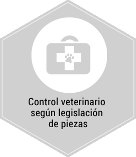 Servicios. Control veterinario según legislación de piezas. Centro de caza Murieta Navarra
